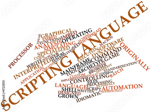 Obraz na plátně Word cloud for Scripting language