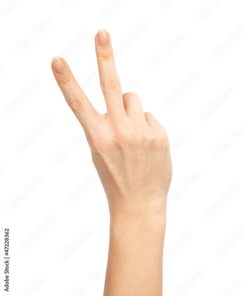 Hand with two fingers up in the peace or victory symbol Hand with two fingers up in the peace or victory symbol