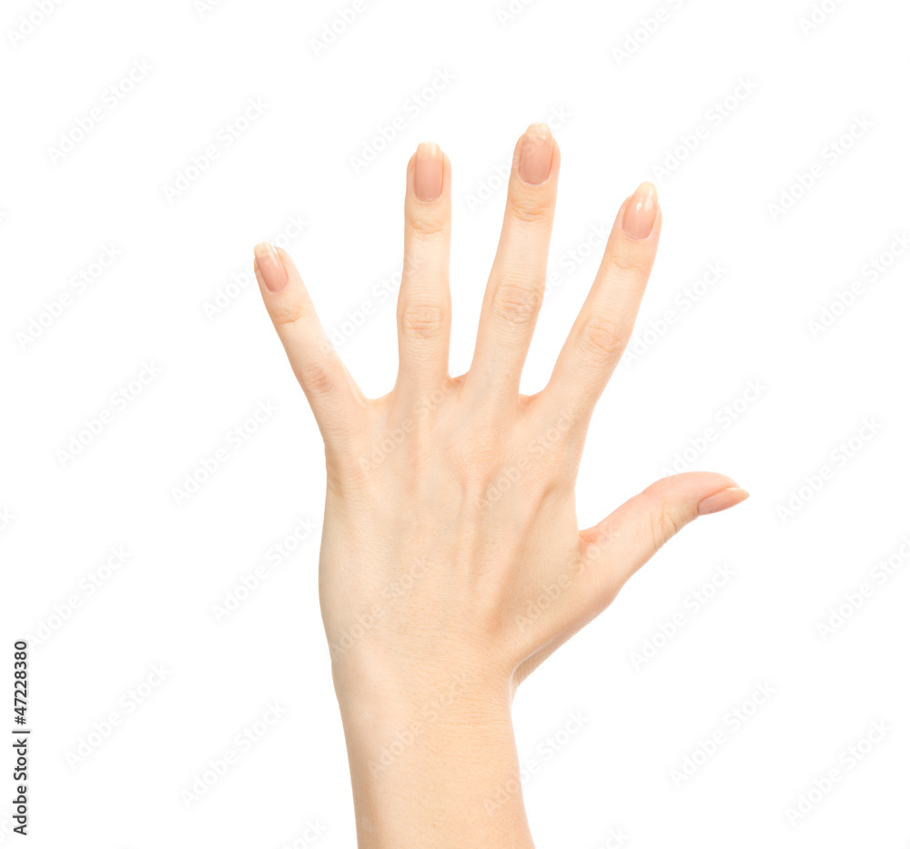 Manicured female hand gesture number five fingers up Manicured female hand gesture number five fingers up