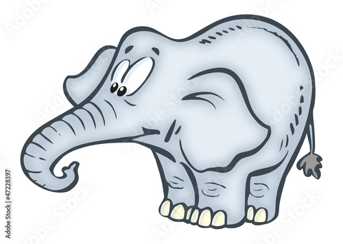 Photography funny elephant