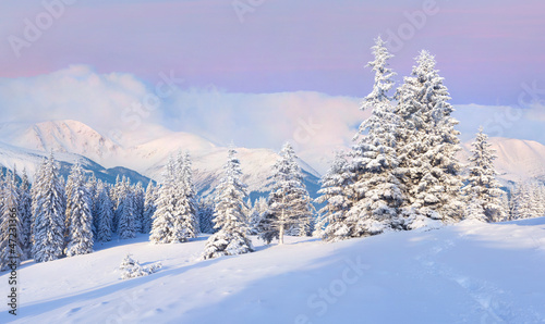 Beautiful winter sunrise in the mountains © Andrew Mayovskyy