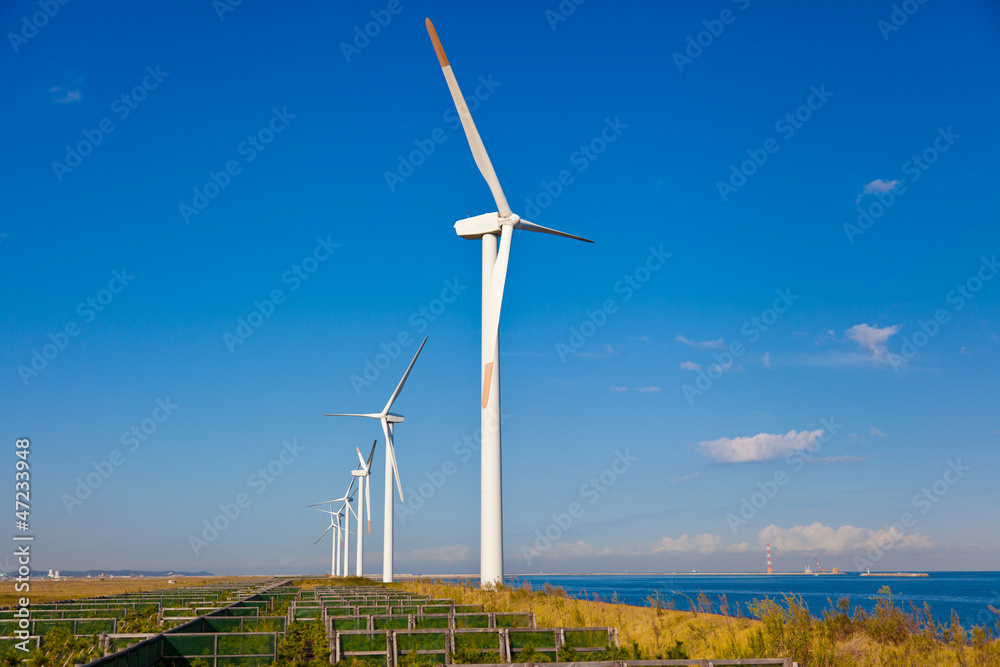 Fototapeta premium Wind farm