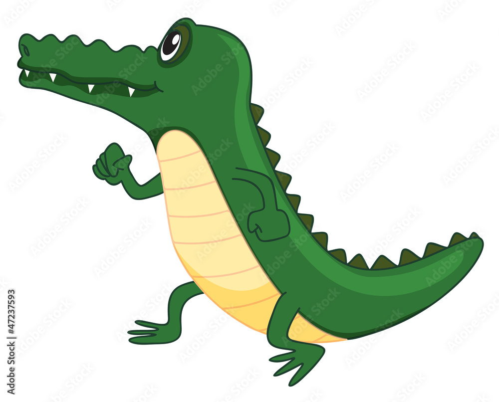 Obraz premium a crocodile