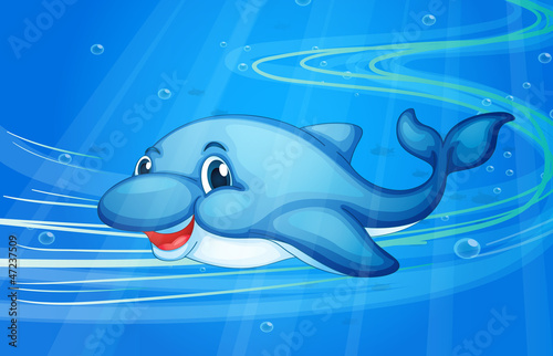 a fish