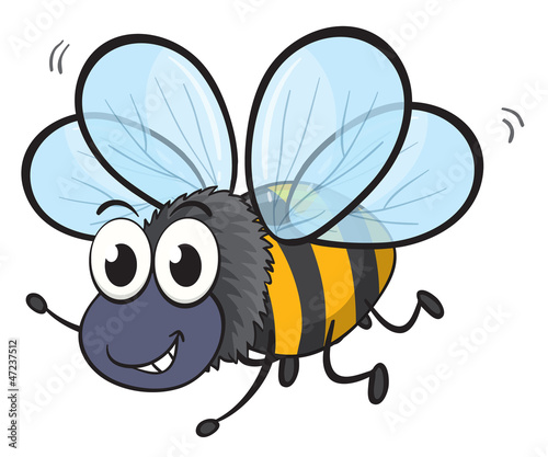 a bee