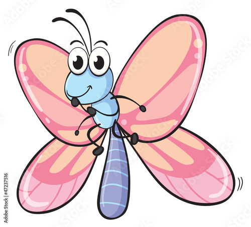 a butterfly