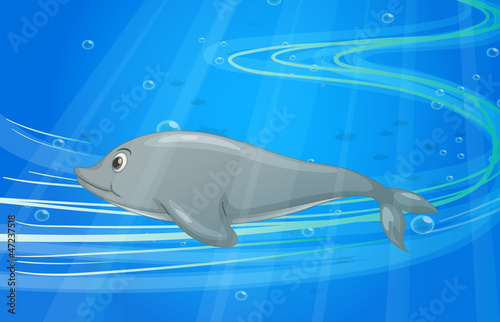 a fish