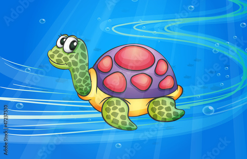 a tortoise