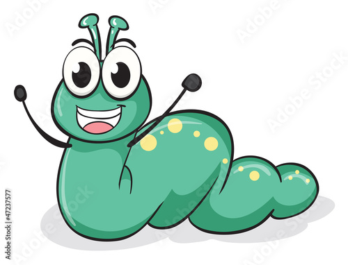 a caterpillar