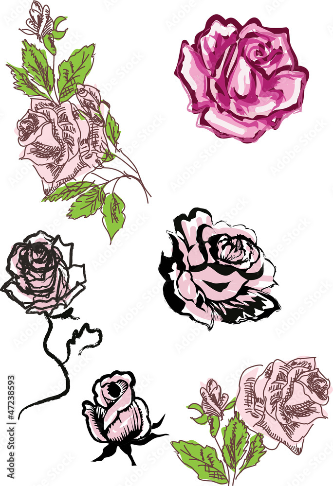 set of roses sketches on white background set of roses sketches on white background