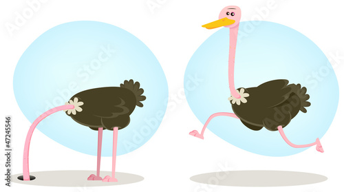 Ostrich Running And Hiding Head