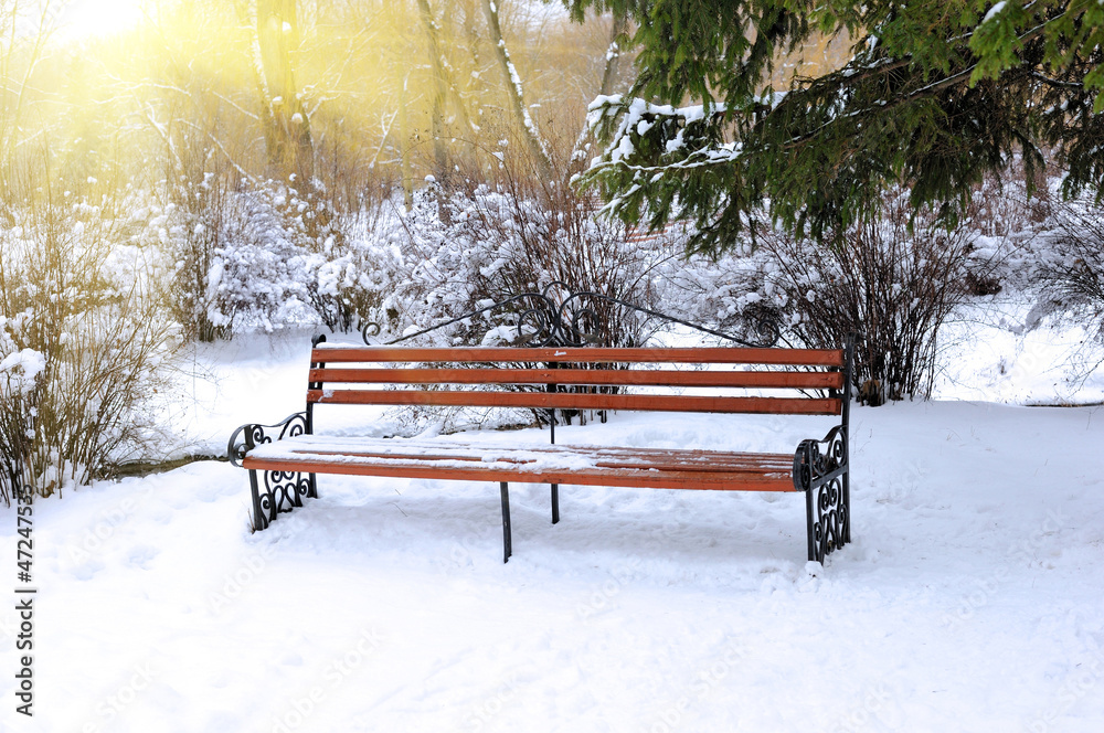 Bench in the park covered with snow