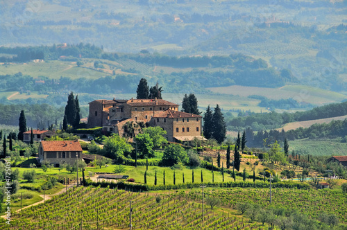 Tuscany vineyard 04