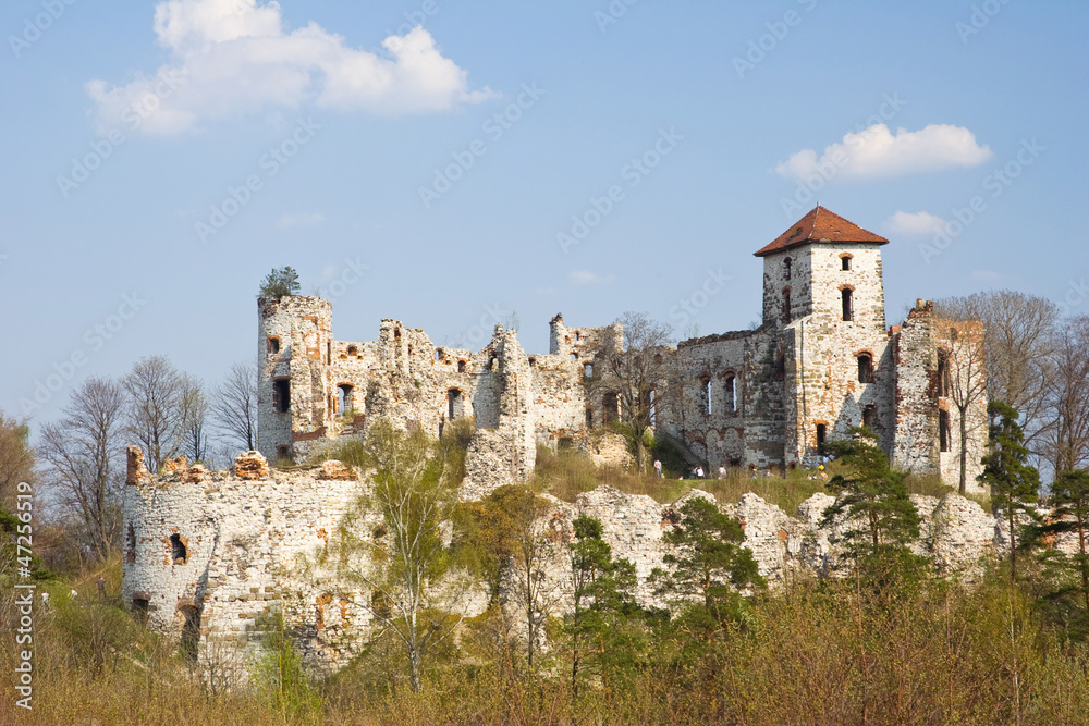 Castle Rudno - Poland. Medieval fortress in the Jura region