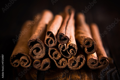Cinnamon © Sunny Forest