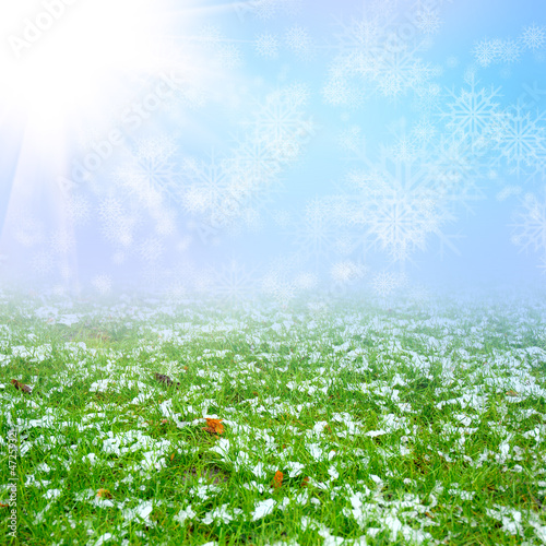 green field with the snow