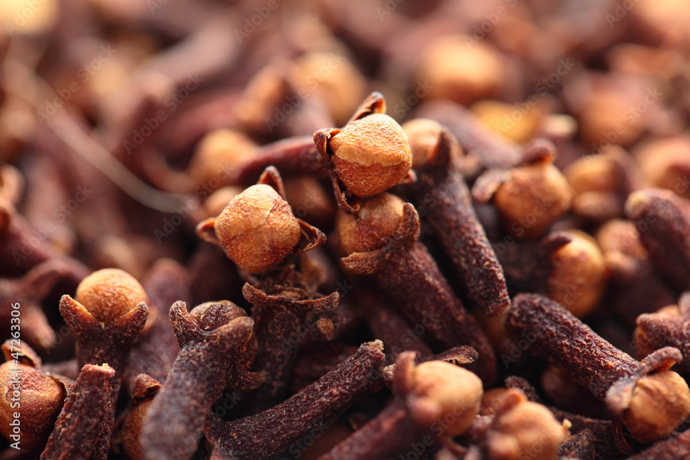 Fototapeta premium Macro of spice cloves