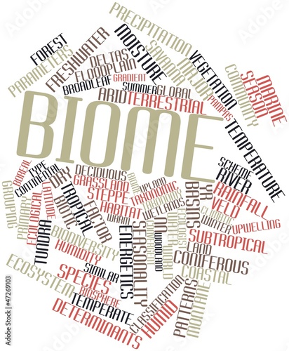 Word cloud for Biome