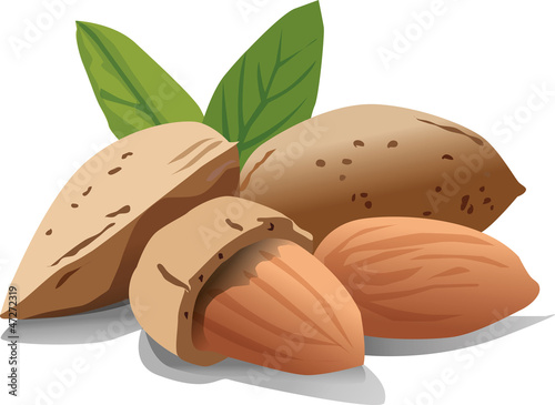 mandorle