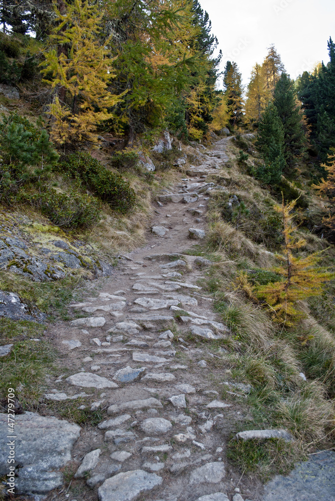 Fototapeta premium track