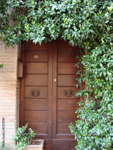 Door decorated with green voluble plants