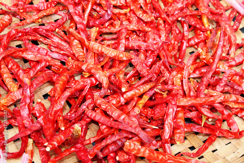 Chili peppers drying in the sun in Thailand.
