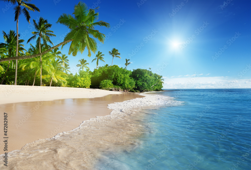 Naklejka premium morze karaibskie i palmy