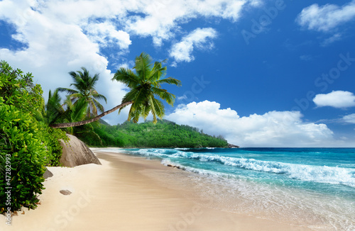 beach at Mahe island   Seychelles