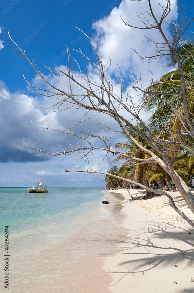 Beautiful caribbean beach