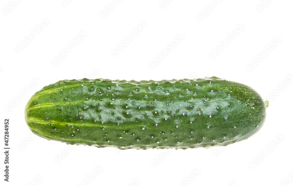 Healthy food. The green cucumbers isolated on white background Healthy food. The green cucumbers isolated on white background