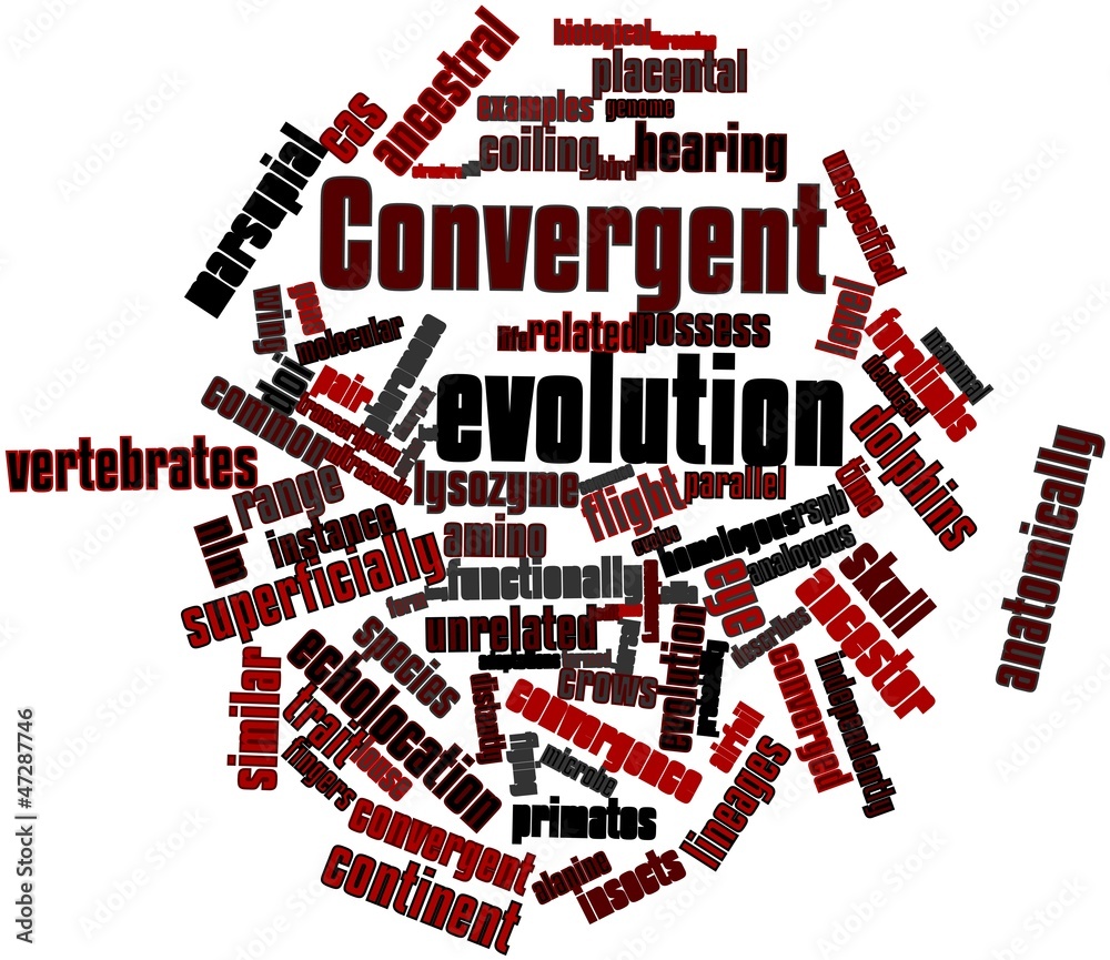 Word cloud for Convergent evolution Stock Illustration Adobe Stock