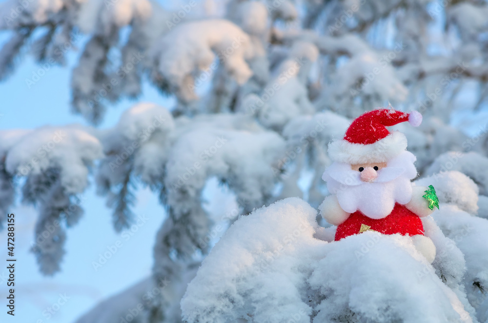 Santa Claus sits on a snow-covered Christmas tree branch.