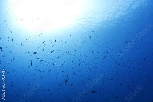 profondità subacquea mare