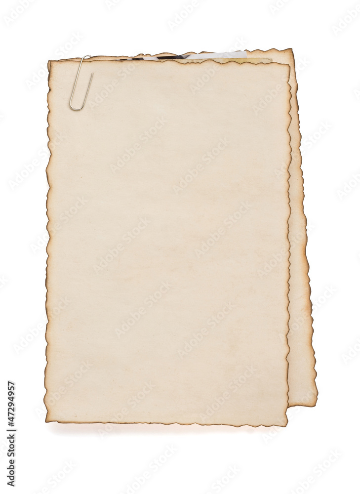 Fototapeta premium paper vintage parchment on white