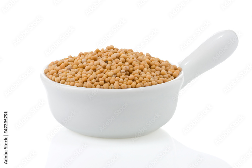 mustard spices isolated on white mustard spices isolated on white