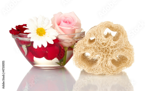 Obraz na płótnie Loofah isolated on white