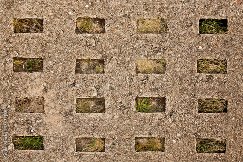 old concrete road slab with plants