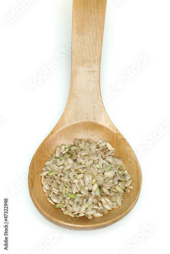 Rice integral in wooden spoon