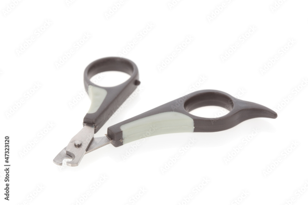 Nail clipper for cats or small dogs isolated on white Nail clipper for cats or small dogs isolated on white