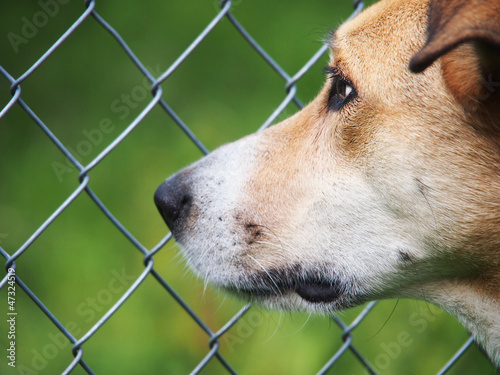Hinter Gittern 61, eingesperrt