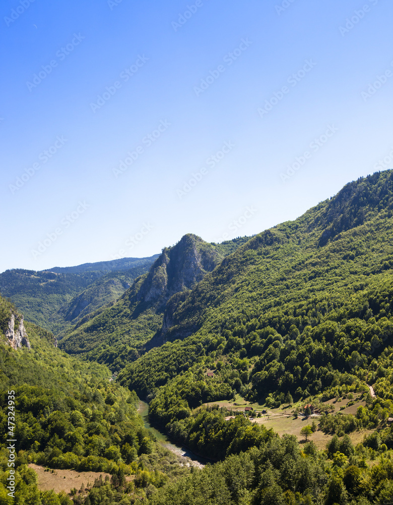 Naklejka premium river canyon Tara , Montenegro