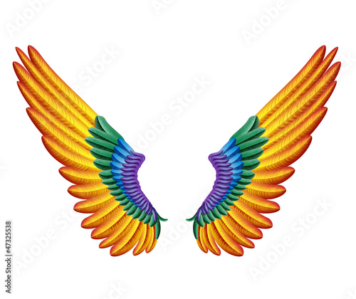 color wings