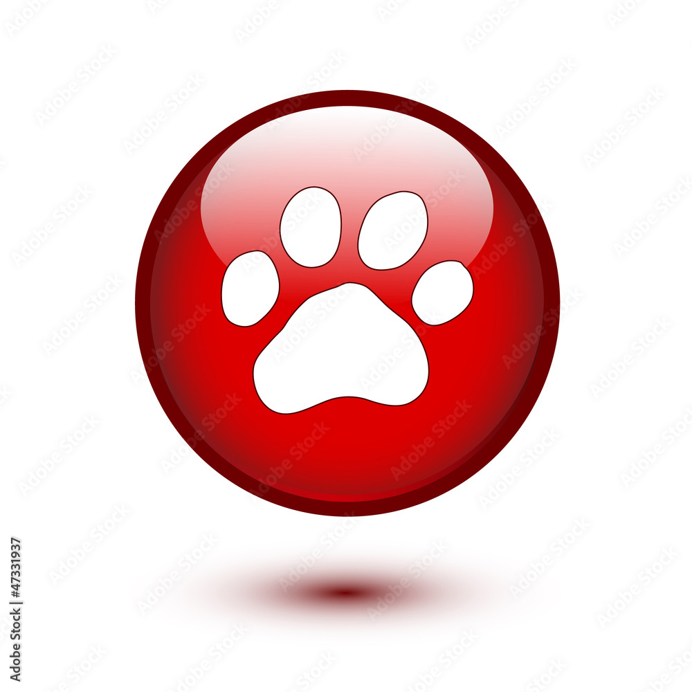 Paw on red button Paw on red button