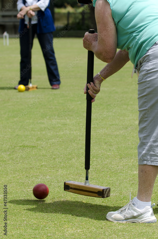 Obraz premium Croquet Game