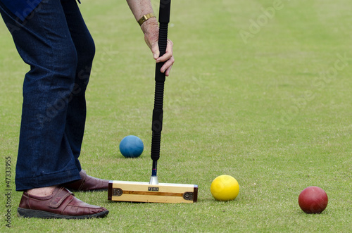 Croquet Game photo