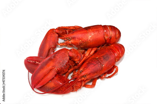 Deux homards cuits