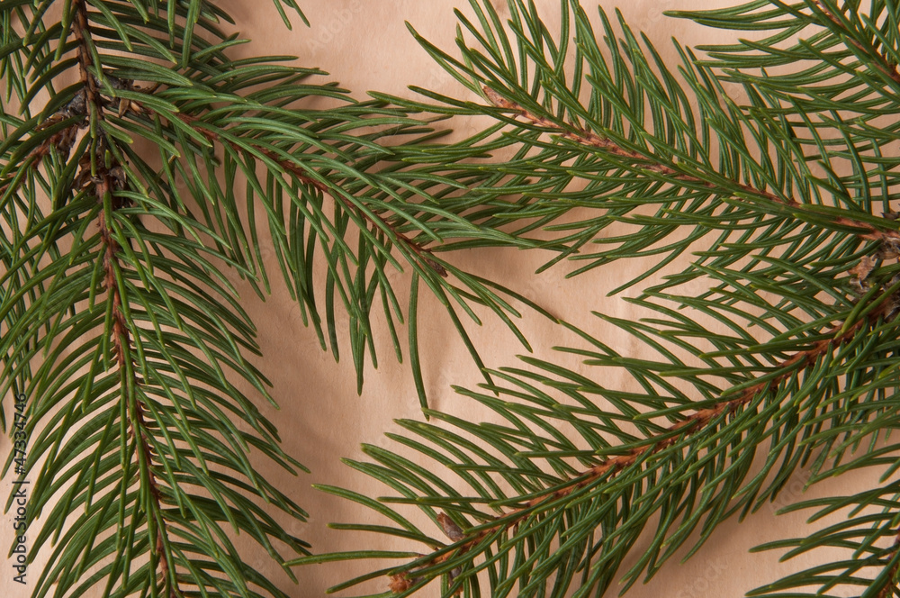 Fototapeta premium abstract background