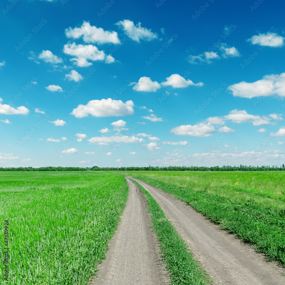 rural road to horizon under cloudy sky