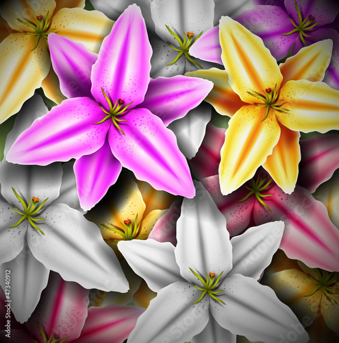 Background with colorful lilies