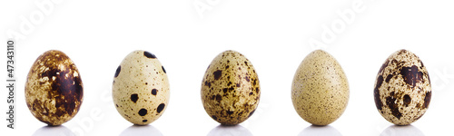 Fotografia Quail Eggs